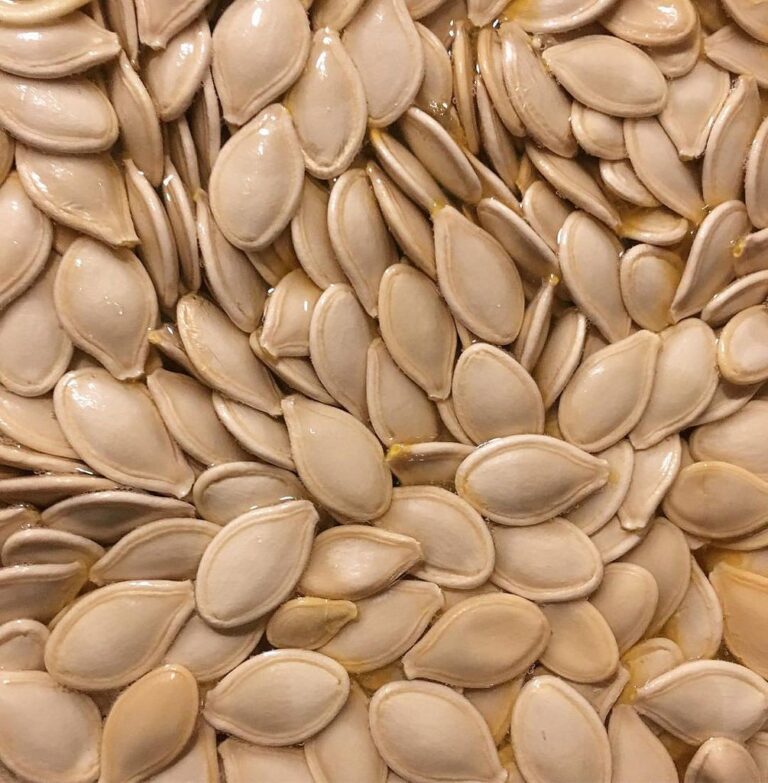 Camevita pumpkin seeds