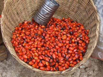 CameVita Palm Oil For Sale
