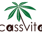 cassvita-logo-1